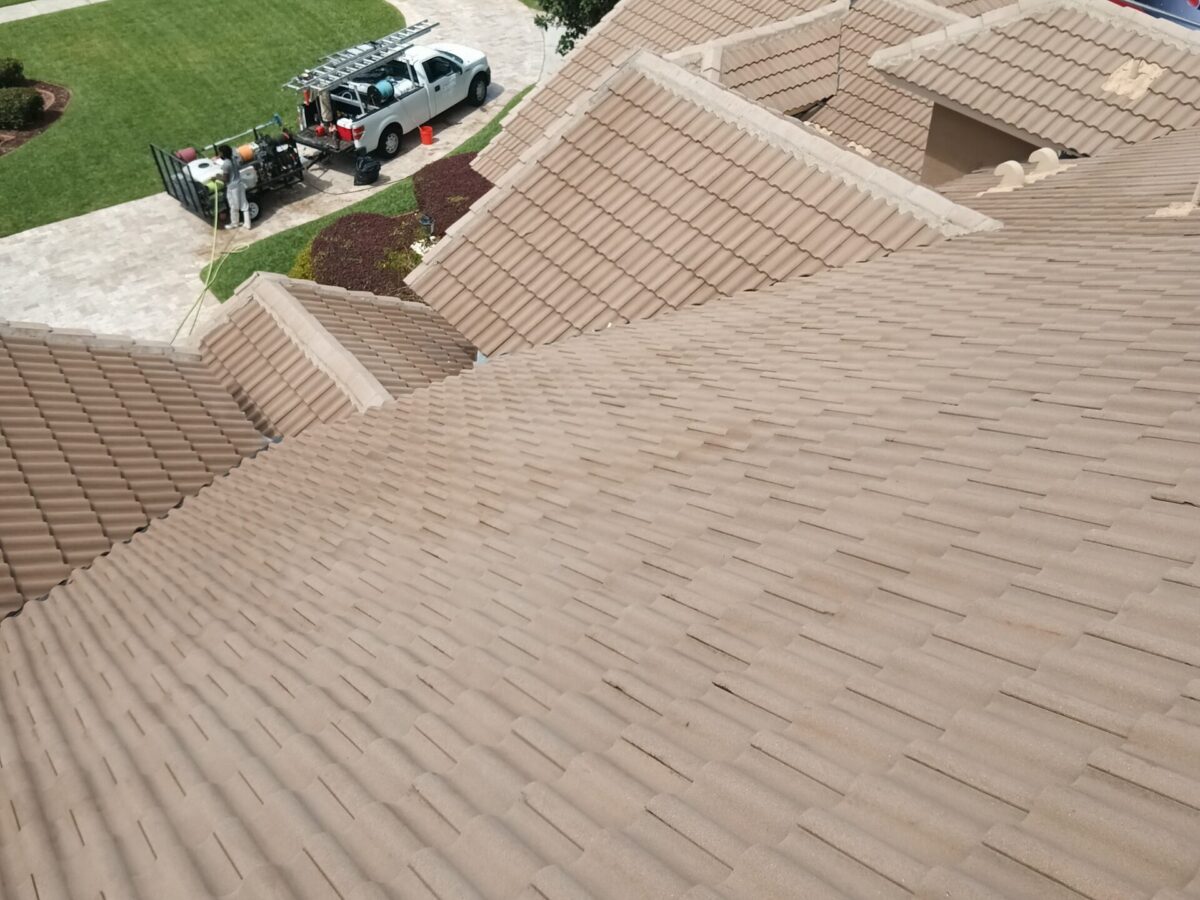 Clean residential roof after Roof Cleaning in Altamonte Springs, FL with improved curb appeal