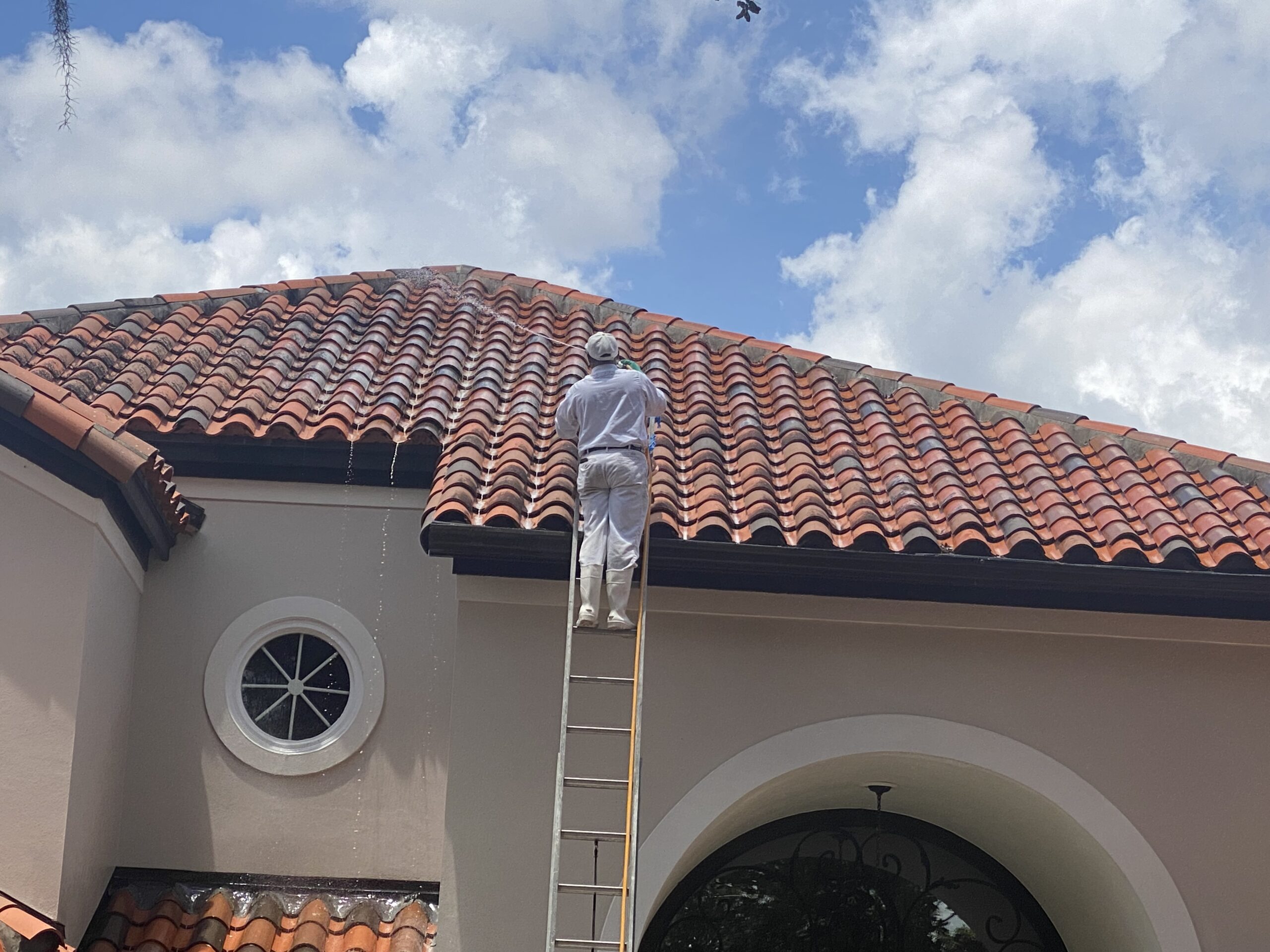Clean residential roof after Roof Cleaning in Narcoossee, FL