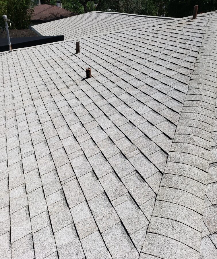 Before and after comparison showing Roof cleaning near me in DeBary, FL on a tile roof Before and after comparison showing Roof cleaning near me in DeBary, FL on a tile roof