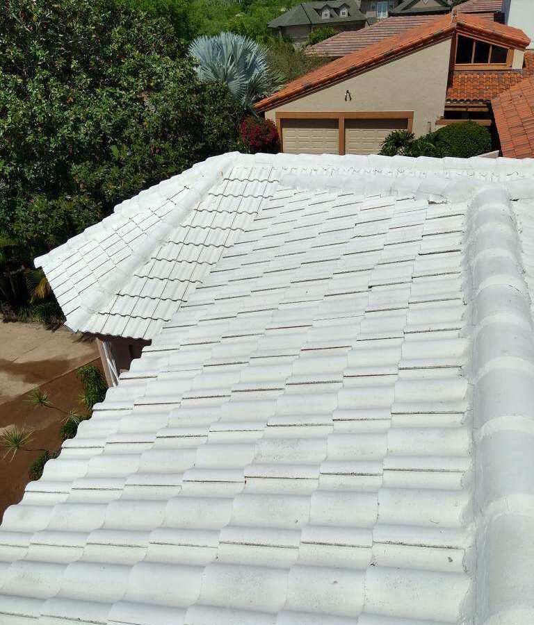 Residential roof after Roof Cleaning in Orange City, FL with cleaner shingles and reduced staining