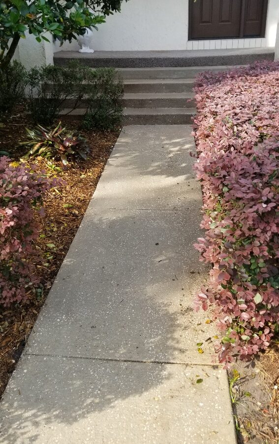 Front entrance after Maintenance Cleaning near me in St Cloud, FL with clean walkways and exterior surfaces