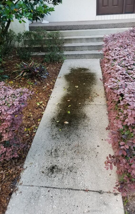 Front entrance before Maintenance Cleaning in St Cloud, FL with clean walkways and exterior surfaces