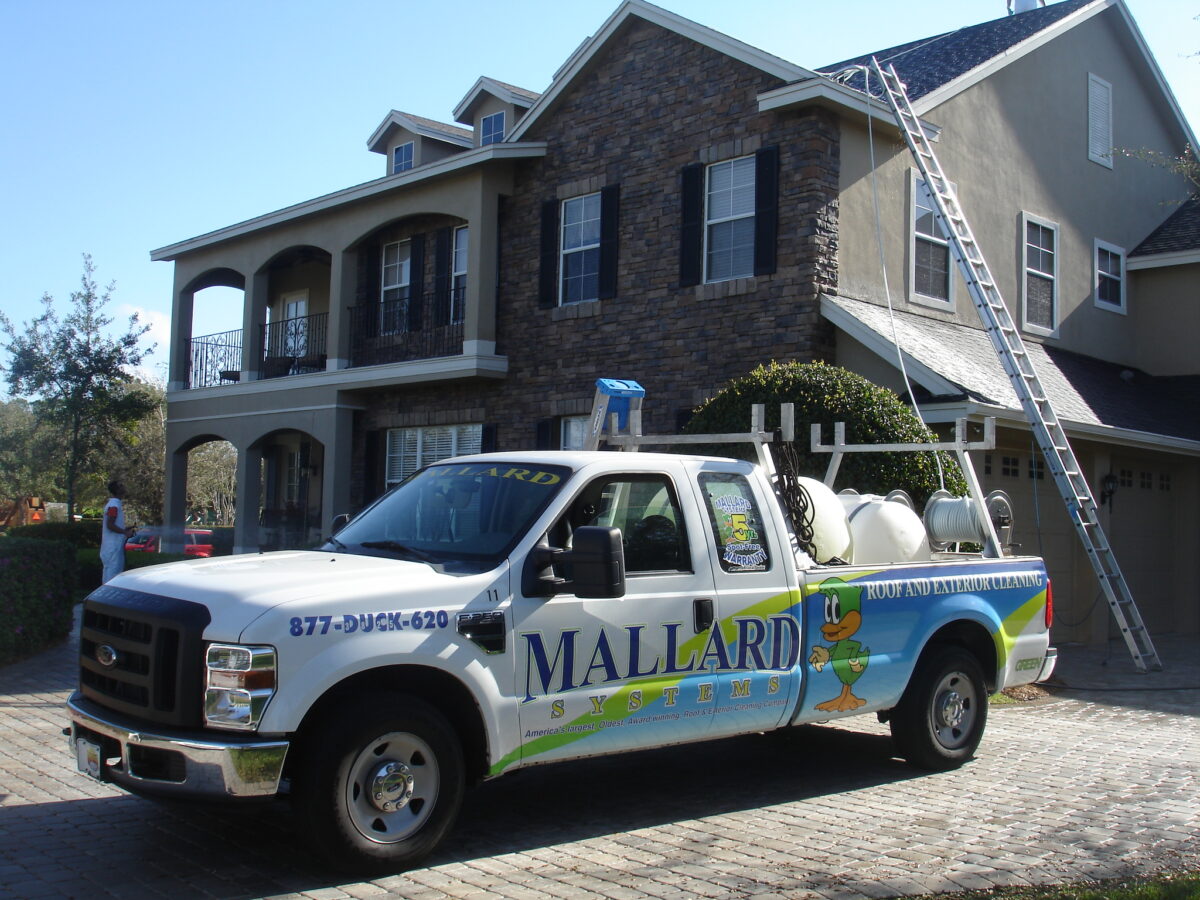 Professional exterior building cleaning near me in Windermere, FL maintaining a landscaped office entrance and exterior walls Professional exterior building cleaning near me in Windermere, FL maintaining a landscaped office entrance and exterior walls