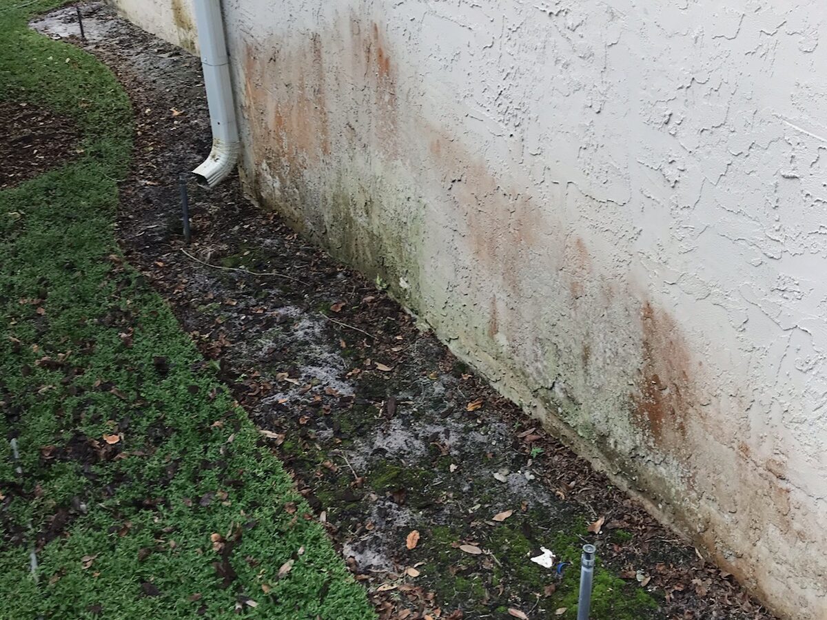 Office property after Exterior Building Cleaning in Altamonte Springs, FL with refreshed parking-facing walls and entrance features Office property after Exterior Building Cleaning in Altamonte Springs, FL with refreshed parking-facing walls and entrance features