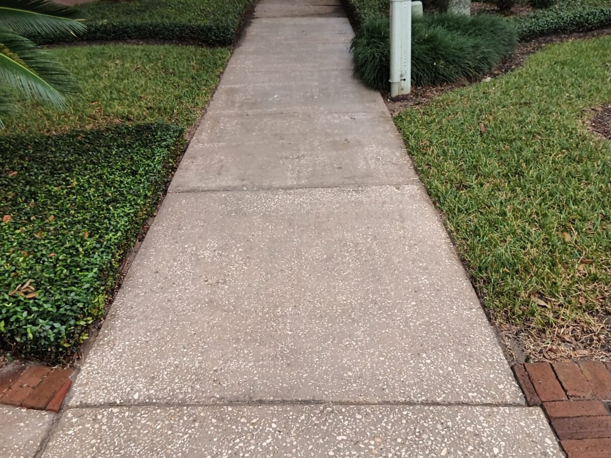 Pressure washing near me in Narcoossee, FL addressing dark organic stains on a shaded backyard patio